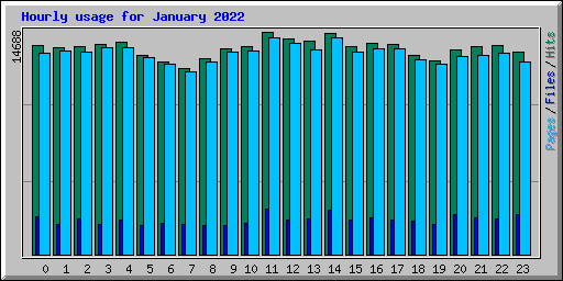 Hourly usage for January 2022