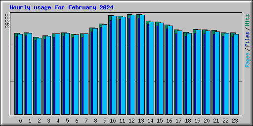 Hourly usage for February 2024