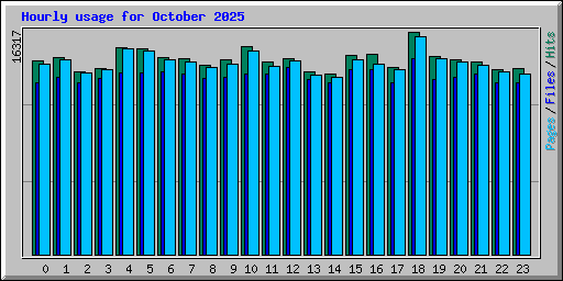 Hourly usage for October 2025