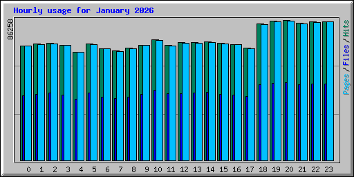 Hourly usage for January 2026