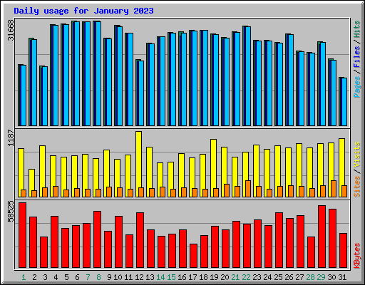 Daily usage for January 2023