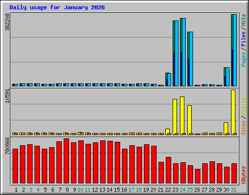 Daily usage for January 2026
