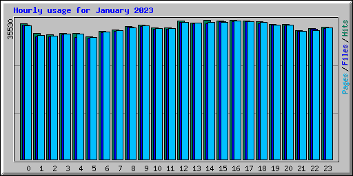 Hourly usage for January 2023