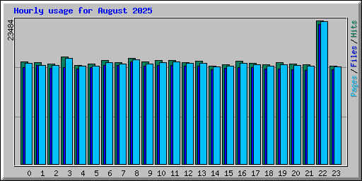 Hourly usage for August 2025