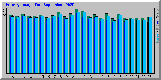 Hourly usage for September 2025